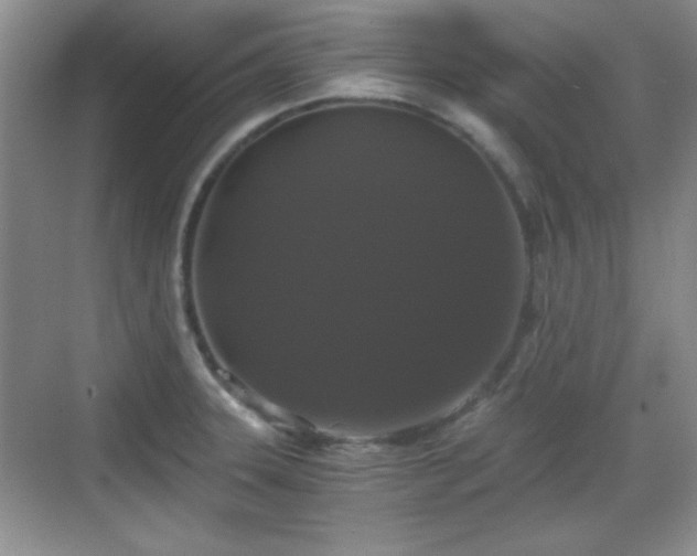 X0000068811331200605081109