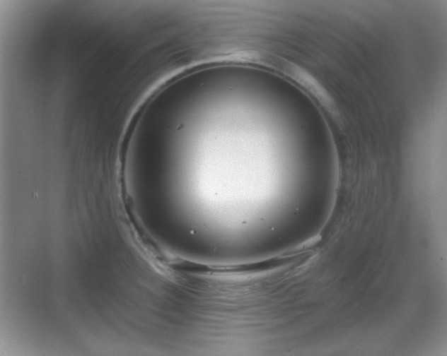 X0000068811332200605081109