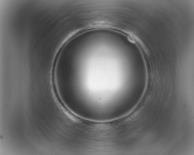 X0000068811333200605081109