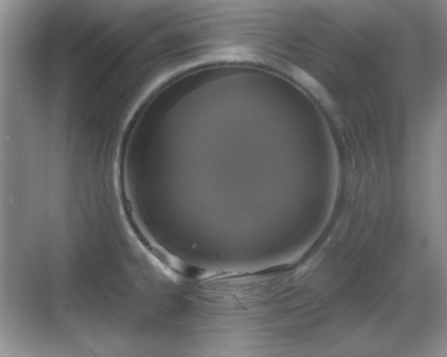 X0000068811334200605081109