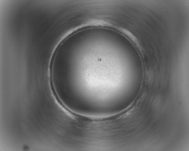 X0000068811335200605081109