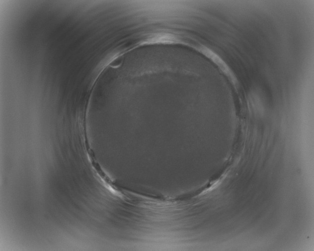 X0000068811337200605081109