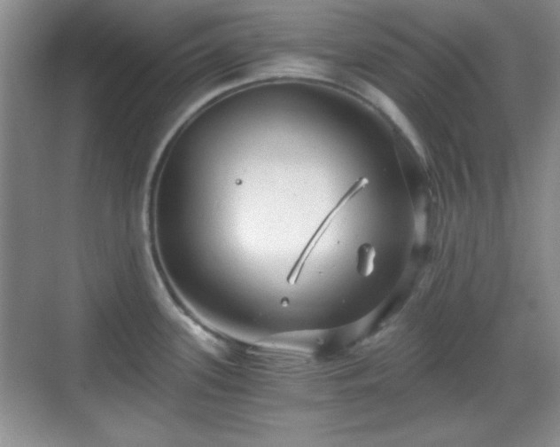 X0000068811339200605081109