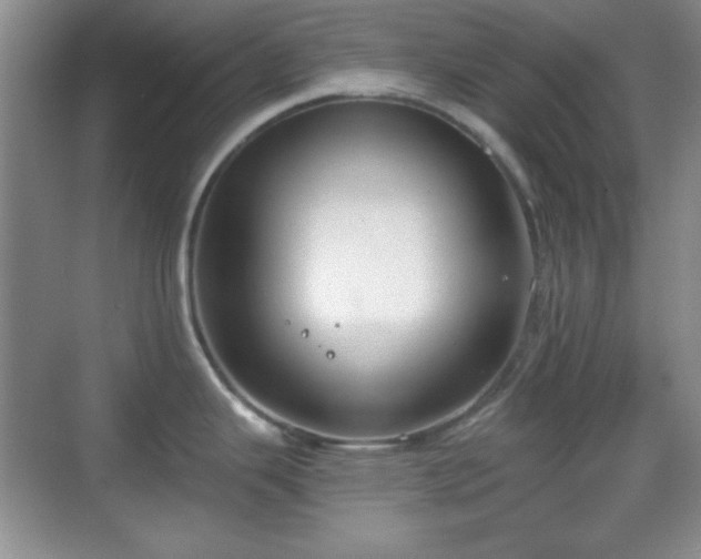 X0000068811343200605081110