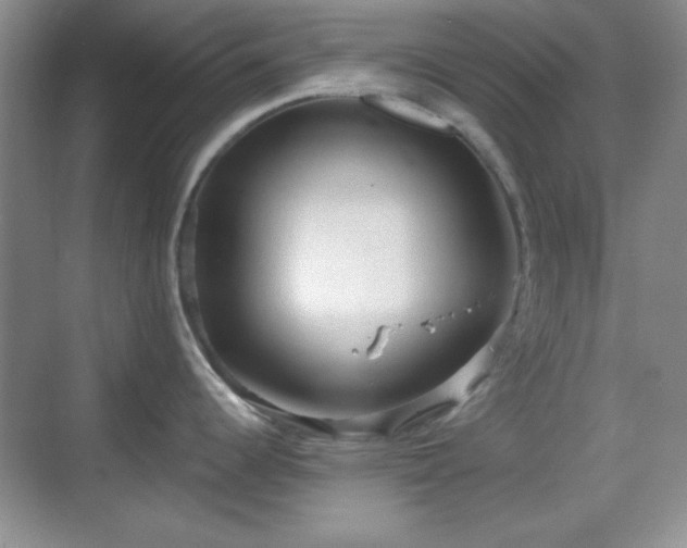 X0000068811344200605081110