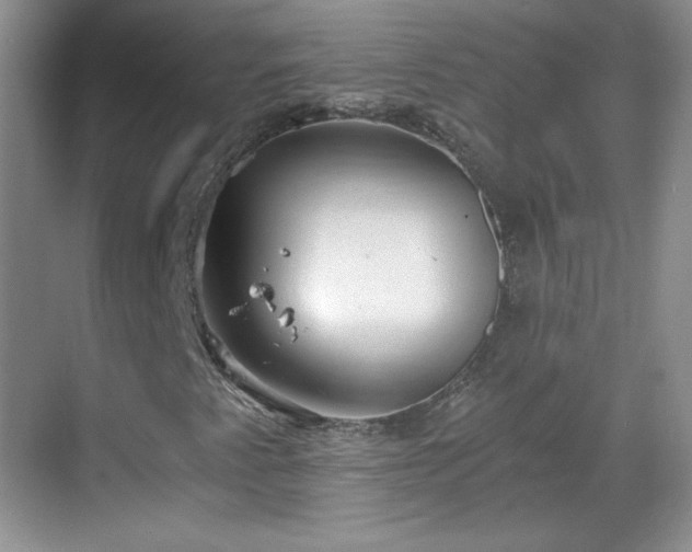 X0000068811345200605081109