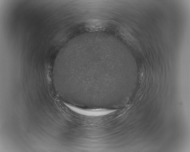 X0000068811346200605081109