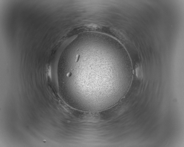 X0000068811347200605081109