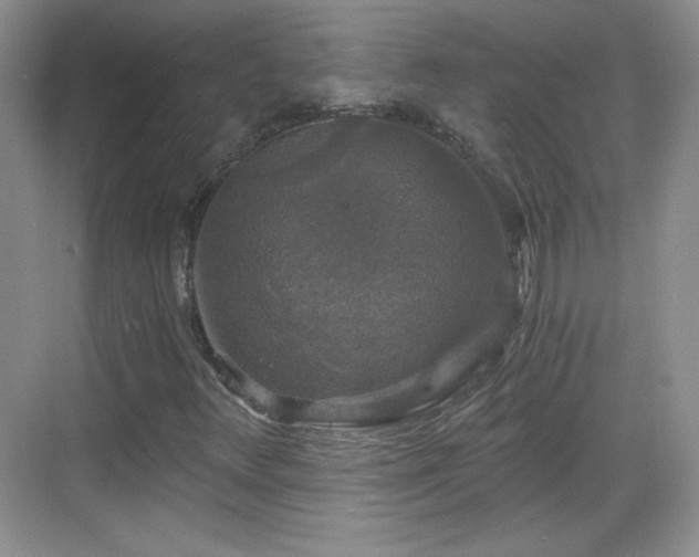 X0000068811348200605081109