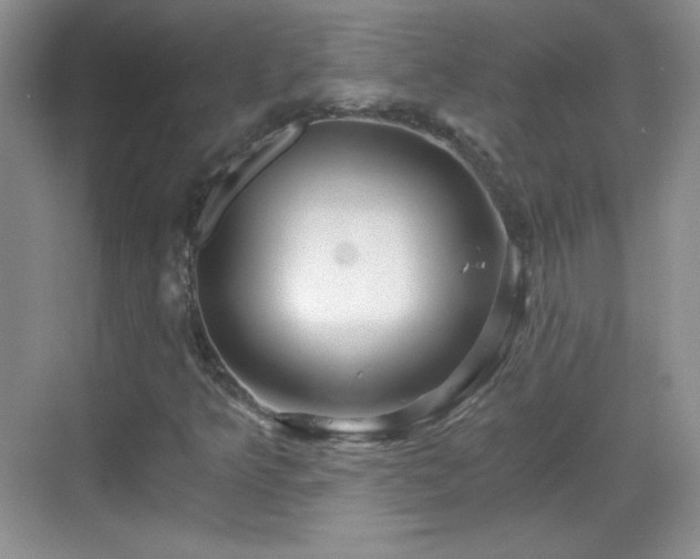 X0000068811349200605081109