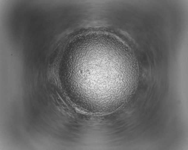 X0000068811350200605081109