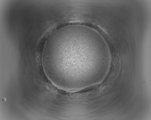 X0000068811351200605081109