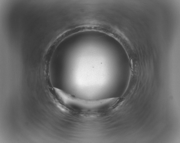 X0000068811352200605081109