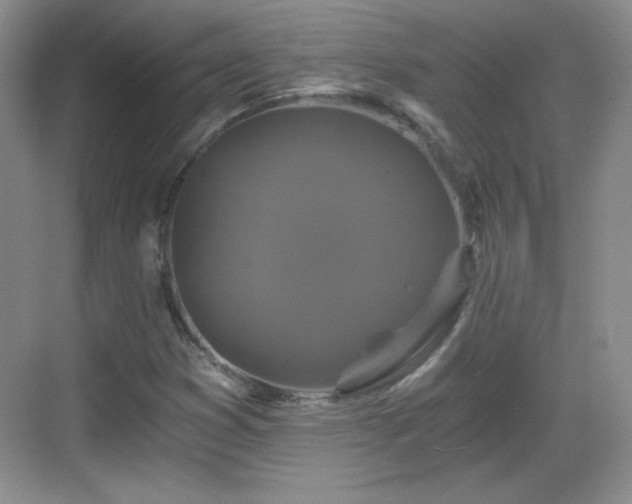 X0000068811353200605081109