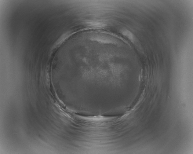 X0000068811354200605081109