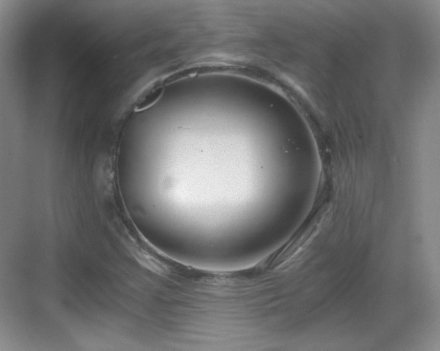 X0000068811355200605081109