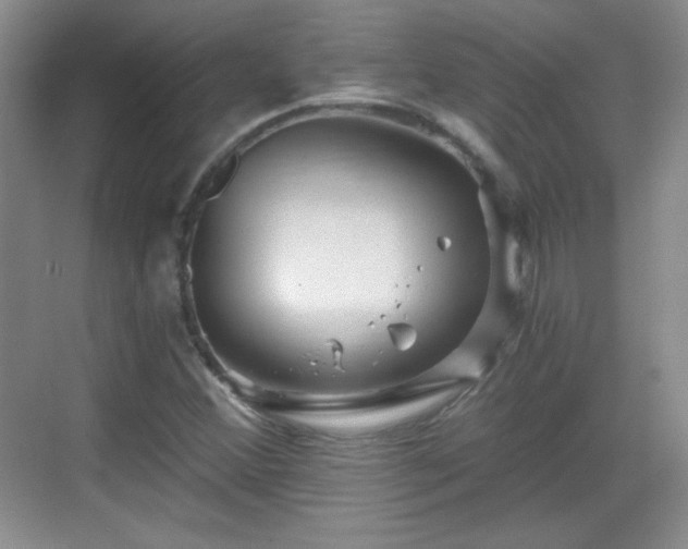 X0000068811356200605081109