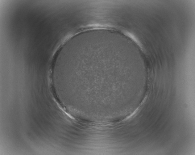 X0000068811357200605081109