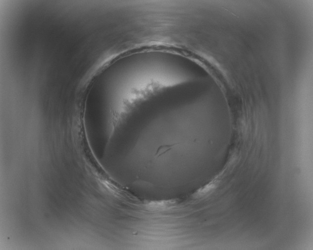 X0000068811359200605081108