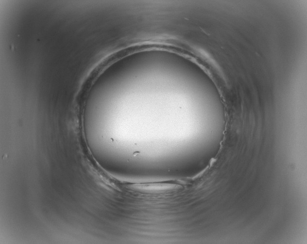 X0000068811360200605081108