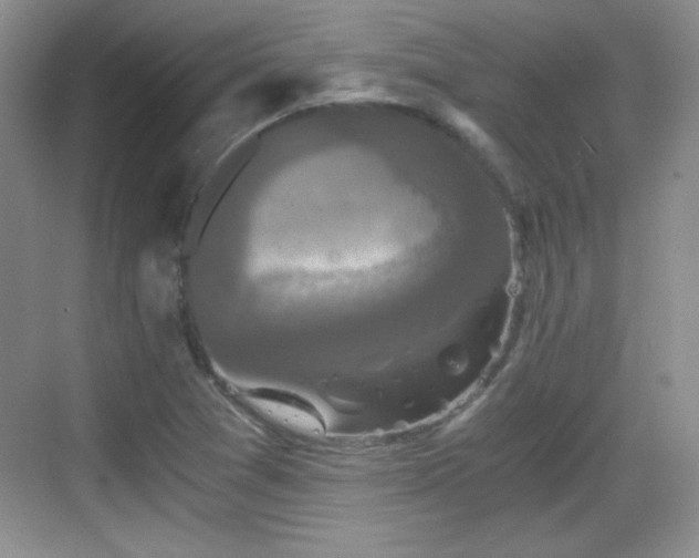 X0000068811361200605081108