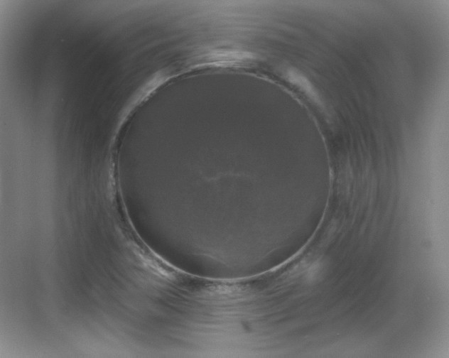 X0000068811362200605081108