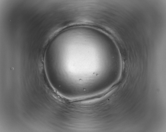 X0000068811363200605081108