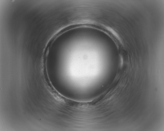 X0000068811364200605081108