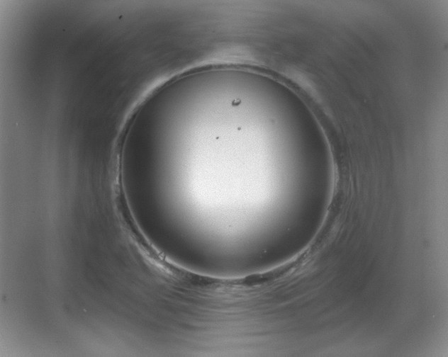 X0000068811366200605081108