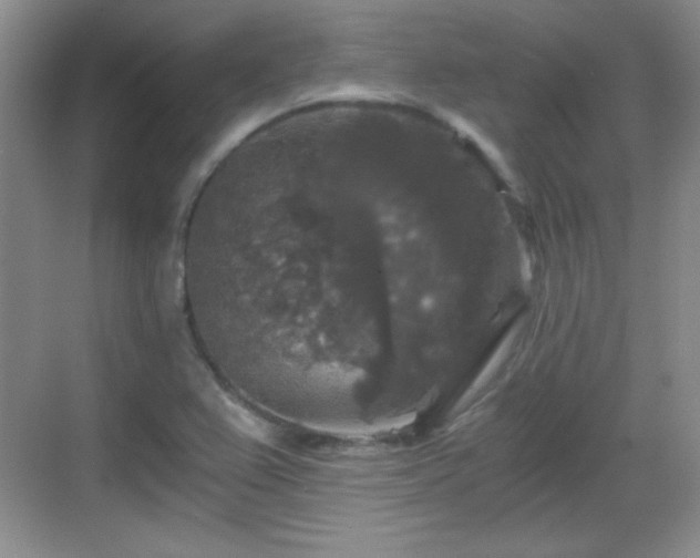 X0000068811367200605081108