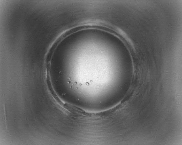 X0000068811368200605081108