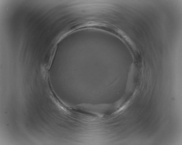 X0000068811369200605081108