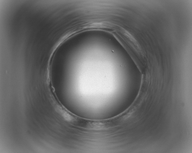 X0000068811370200605081108