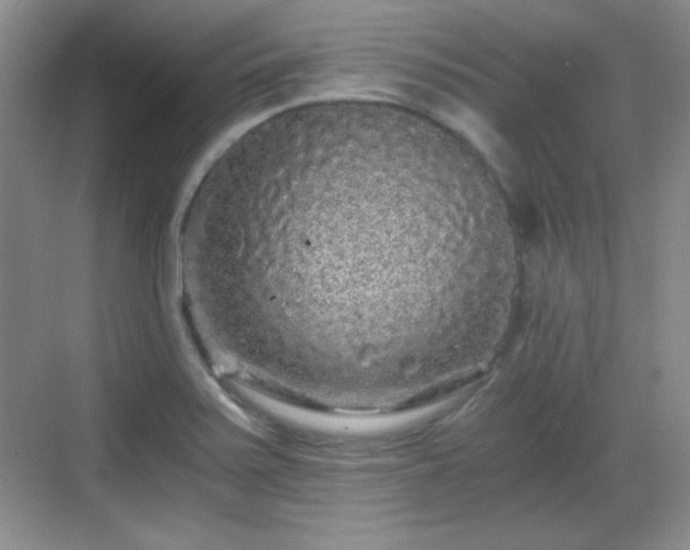 X0000068811371200605081108