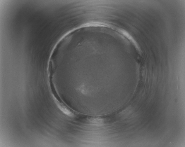 X0000068811372200605081108