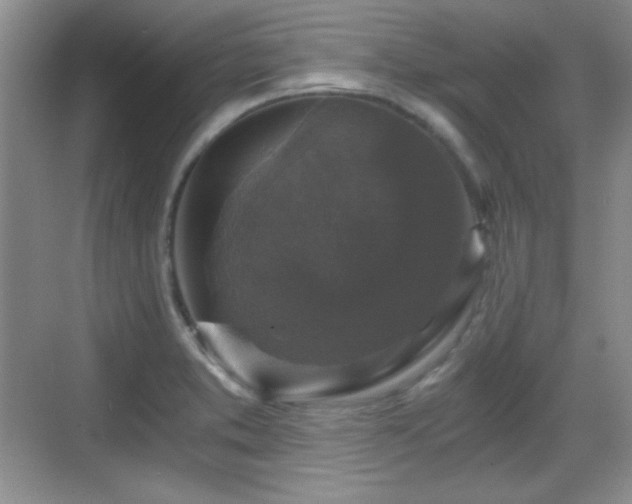 X0000068811373200605081108