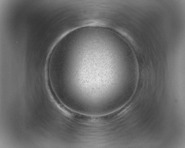 X0000068811375200605081108