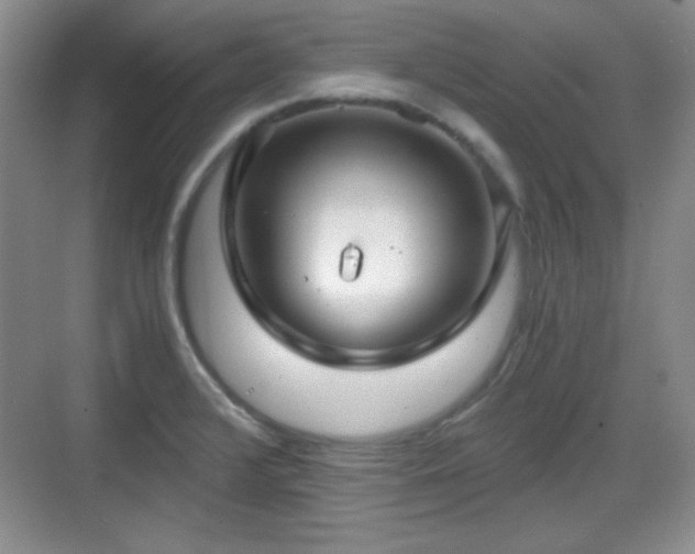 X0000068811376200605081108