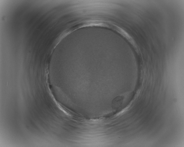 X0000068811377200605081108