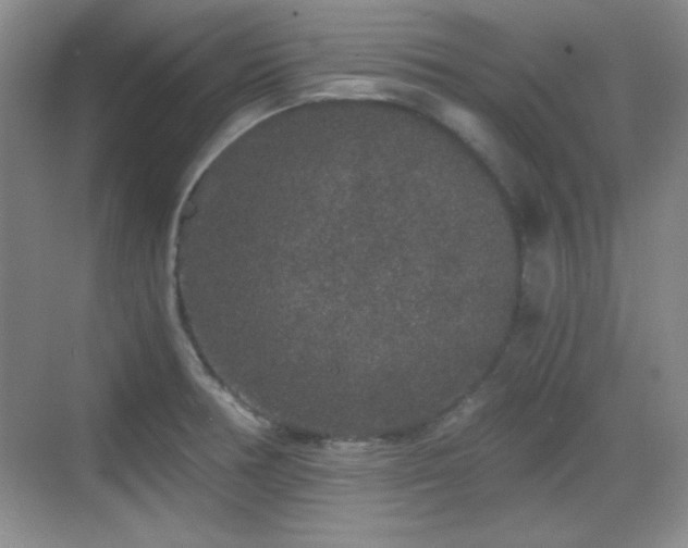 X0000068811378200605081108