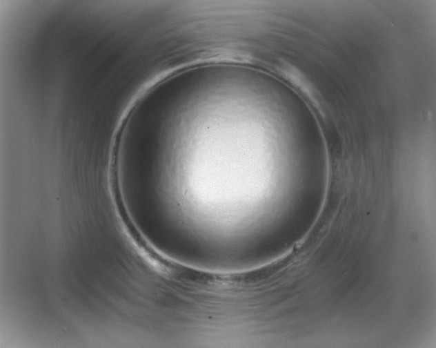 X0000068811379200605081108