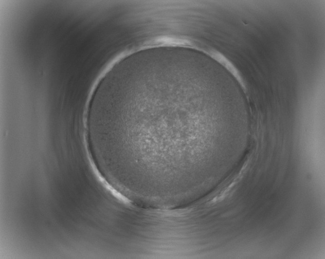 X0000068811381200605081108