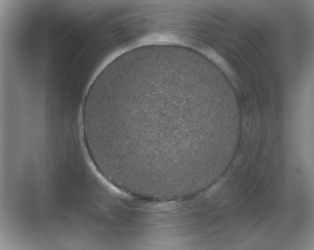 X0000068811382200605081108