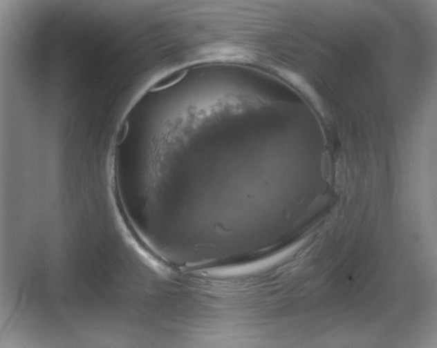 X0000068811383200605081108