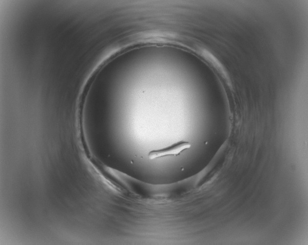 X0000068811384200605081108