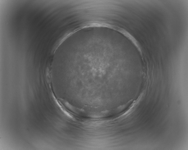 X0000068811385200605081108