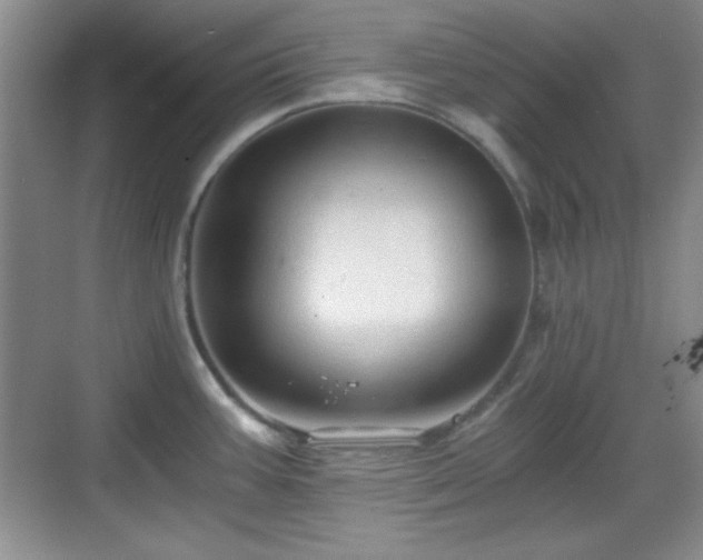 X0000068811387200605081108