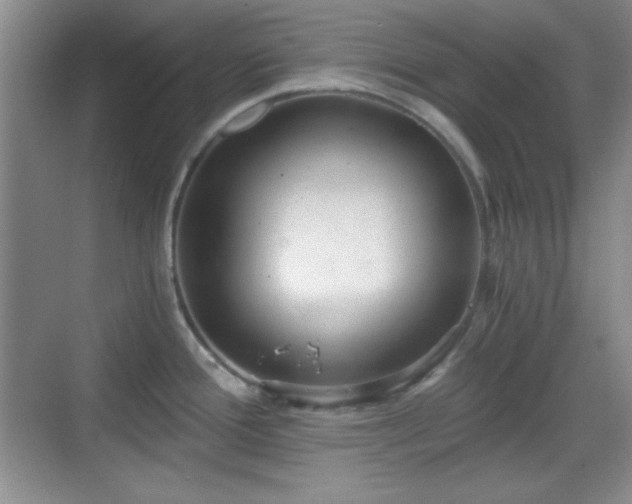 X0000068811388200605081108