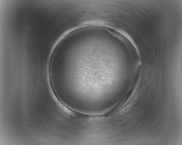 X0000068811389200605081108