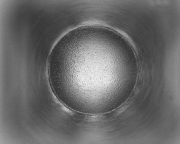 X0000068811390200605081108